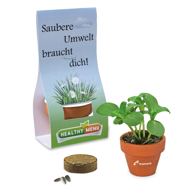 Mini pot en terre avec graines - image 2